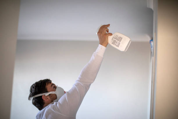 Best Black Mold Removal  in Gifford, FL