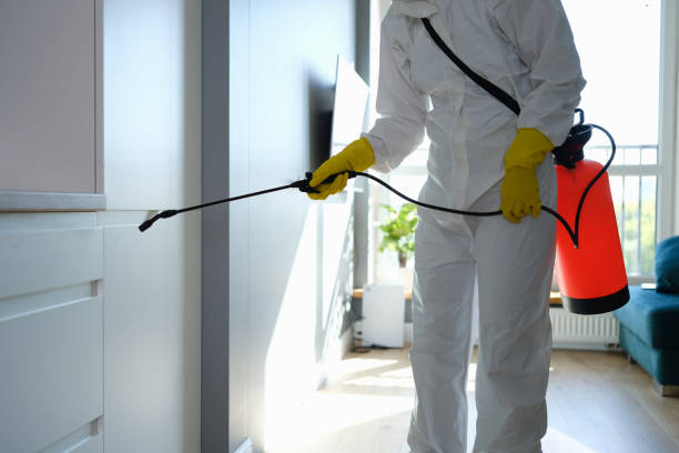 Best Certified Mold Removal  in Gifford, FL
