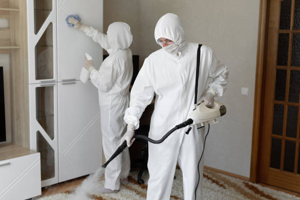 Best Mold Cleaning Services  in Gifford, FL
