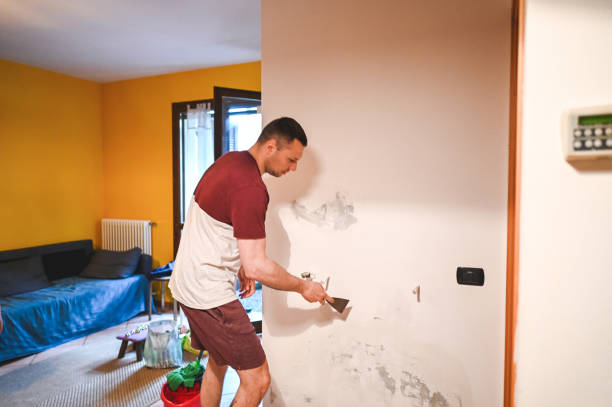 Best Emergency Mold Removal  in Gifford, FL