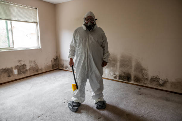 Crawl Space Mold Removal in Gifford, FL